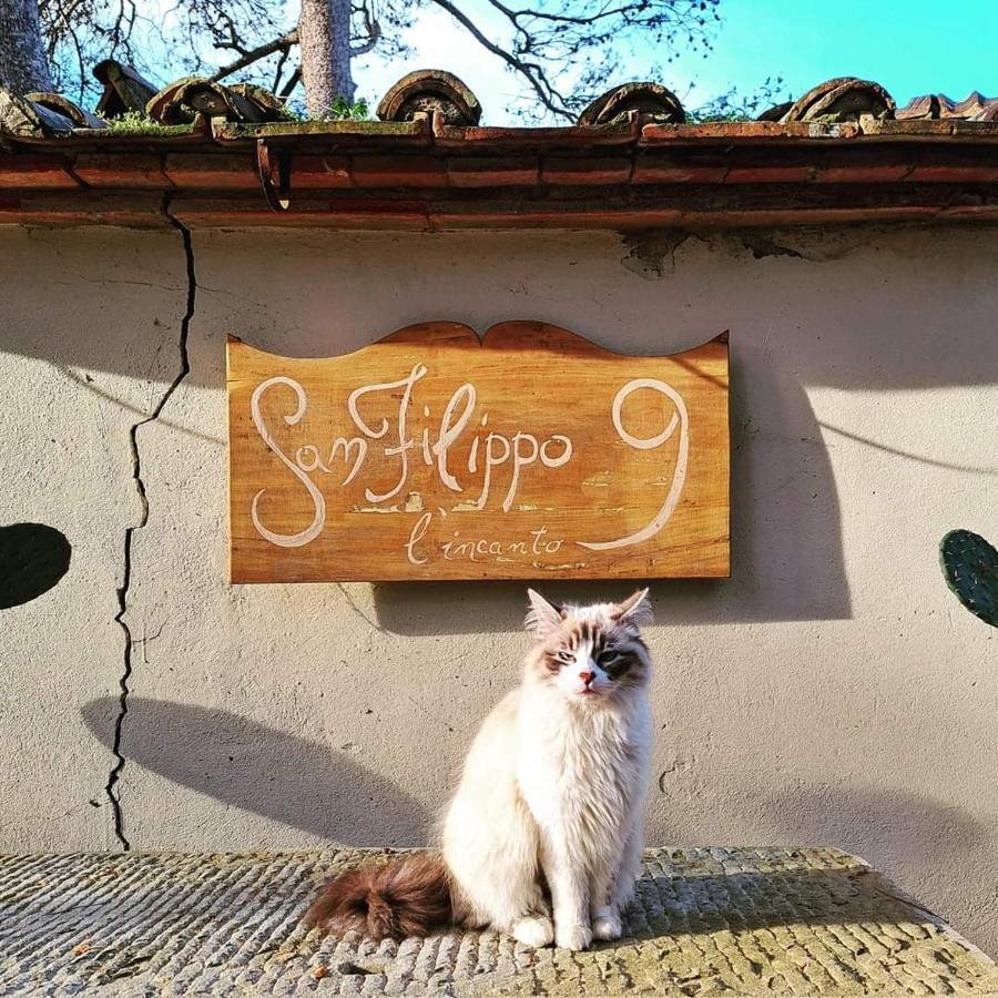 Villa San Filippo 阿雷佐 外观 照片